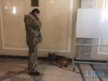 После истории с Савченко Раду начали осматривать УГОшники с собаками