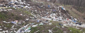 Запорожские чиновники заплатят за сбор случайного мусора полмиллиона гривен