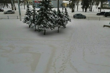 Аномальный снег на Донбассе: в "ЛНР" назвали возможные причины