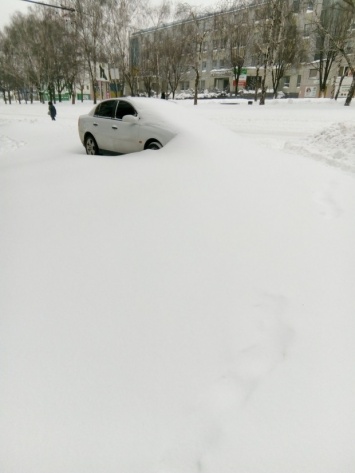 Как городские власти Днепра «контролируют» завалы снега и транспортный коллапс