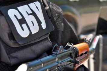 В Покровском районе сотрудники СБУ выявила два тайника с оружием и боеприпасами