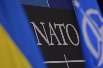 Украина и НАТО: что нужно знать