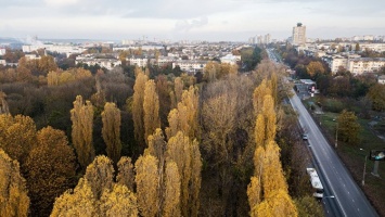 Вокруг Симферополя на 2,2 тыс га высадят новые деревья