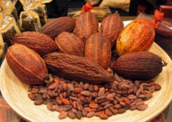 Бурный рост спроса на шоколад поднял цену какао-бобов на 30% с начала года