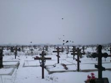 Новое городское кладбище в Николаеве может появиться на землях гериатрического пансионата