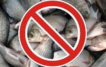 В водоемах Одесской области объявили запрет на вылов рыбы