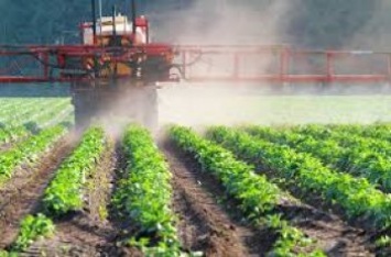 Запрет импорта удобрений из РФ приведет к истощению почвы и сокращению валового сбора урожая