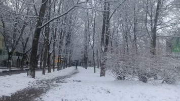 Ночной снегопад: в Крым вернулась зима