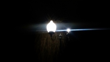 В городском парке разбили фонари (фото)