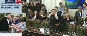 Савченко принесла в Раду гранаты. Луценко посоветовал их жевать (ФОТО)