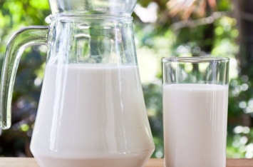 Какие продукты ни в коем случае нельзя употреблять с молоком