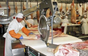 На Луганщине готов проект строительства мясокомбината, чтобы развивать свиноводство