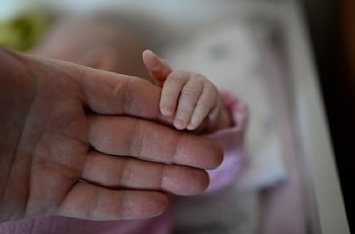 В Бердянском районе мать живым закопала новорожденного ребенка