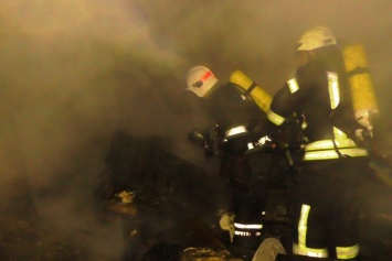 Пожар в Житомире: Женщина выпрыгнула из окна второго этажа, чтобы не сгореть заживо