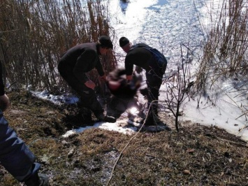 В запорожской области утонул пожилой мужчина (Фото)