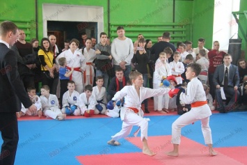 В Бердянске состоялся чемпионат области по карате