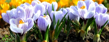 Долгожданная весна разбудила Кременчуг. Фото-видео-репортаж из самого любимого места отдыха кременчужан