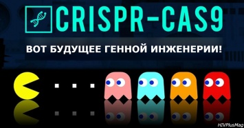 CRISPR убивает ВИЧ и? съедает? вирус Зика. Его следующая цель? Рак