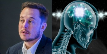 Стартап Илона Маска, обещающий подключить мозг человека к компьютеру, начнет испытания на животных