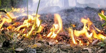 Николаевские спасатели призывают не провоцировать пожары на природе
