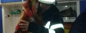 Спасатели Каменского вынесли из огня двух малышей