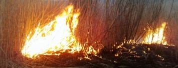 За выходные спасателями Черниговщины ликвидировано 32 пожара