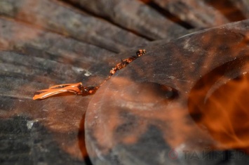 Бандеровцы сожгли георгиевскую ленту на одесской Аллее Славы