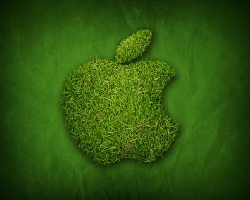 Тим Кук: Каждое здание Apple использует «зеленую» энергию. Так ли это на самом деле?