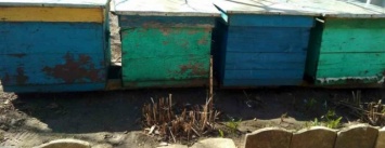 В Бахмутском районе трое несовершеннолетних воров «чистили» дома