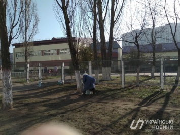 В школах на Оболони белят деревья, несмотря на запрет Кличко