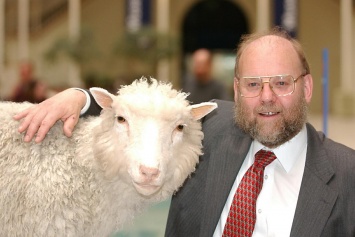 Создатель овцы Долли взялся за исследование болезни Паркинсона