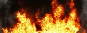 Из-за возгорания камыша в Северодонецке чуть не сгорели хозяйственные постройки