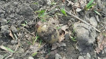 Харьковские "копы" нашли гранату возле жилого дома (ФОТО)