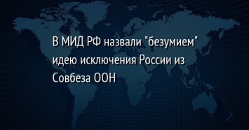 В МИД РФ назвали "безумием" идею исключения России из Совбеза ООН