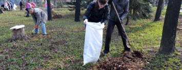В городском парке Доброполья начато весеннюю толоку