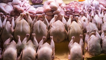 В Ялте незаконно перевозили два центнера птичьего мяса