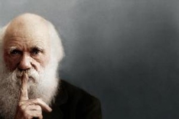 Американские специалисты нашли ошибку в теории Дарвина