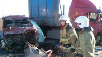 В России грузовик протаранил микроавтобус: погибли 13 человек