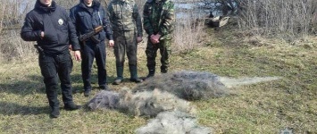 Запрет на рыбалку в Черниговской области не работает - три факта браконьерства за два дня