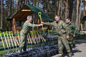 Во Львовской области высадили самую длинную липовую аллею в Украине