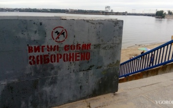 В Запорожье будет специальный пляж для собак?