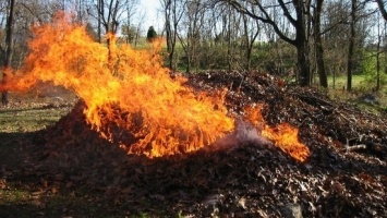 Спасатели Днепропетровщины напомнили правила противопожарной безопасности на природе