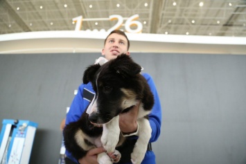 Новому терминалу аэропорта «Симферополь» подарили щенка по кличке Алиса (ФОТО, ВИДЕО)