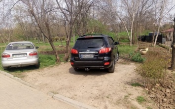 Как одесские автохамы паркуются на зеленых участках города (ФОТО)