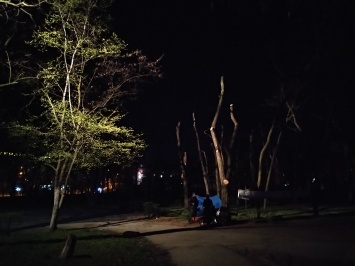 Со свечами и палаткой: как протестующие провели ночь в парке напротив "Украины" (Фото)