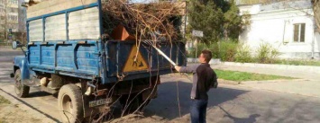 В Николаеве на нескольких улицах ликвидировали свалки, - ФОТО