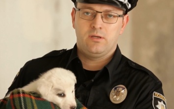 Полицейские с щенками: правоохранители Днепра снялись в социальном ролике