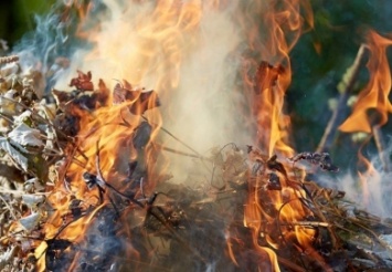 Жителей Днепропетровщины будут штрафовать за сжигание листьев