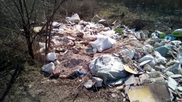 "Обрастаем мусором". Жители Луганска жалуются на свалки у жилых домов (фото)