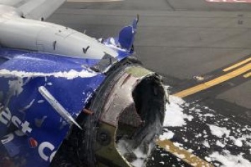 В США у самолета в полете взорвался двигатель: появилось фото погибшей пассажирки, которую засосало в иллюминатор